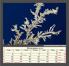 Silver-tree, Reduktion from Silver-nitrate